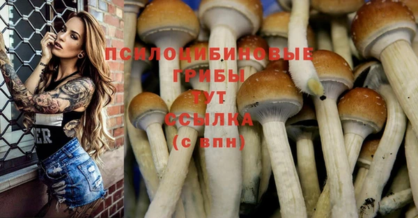 молекула духа Балахна