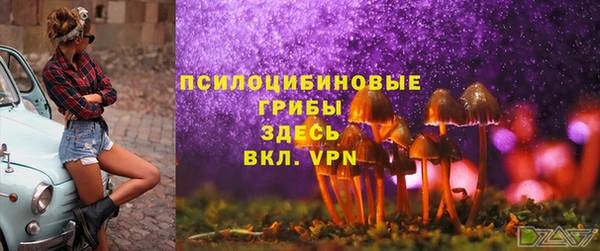 прущие грибы Сафоново