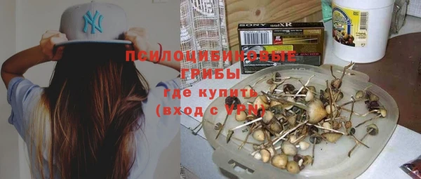 молекула духа Балахна