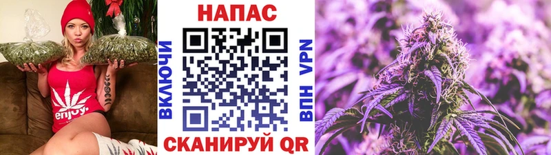 Каннабис Amnesia  ссылка на мегу маркетплейс  мориарти состав  Теберда 